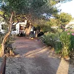 Sun *