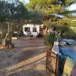 Apartament Sun