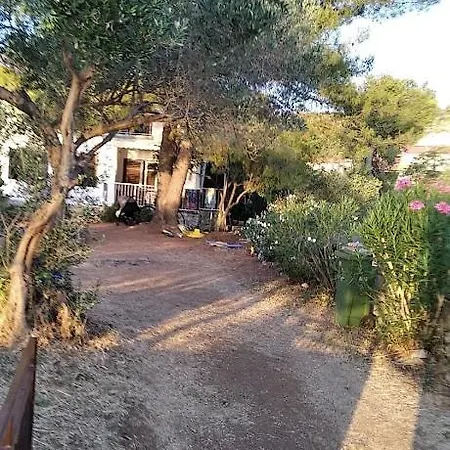 Sun *
